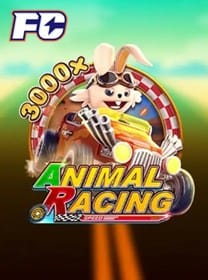 667bet